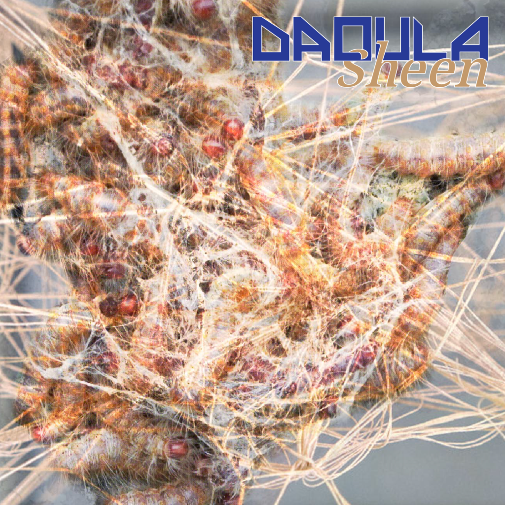 DAOULA-SHEEN