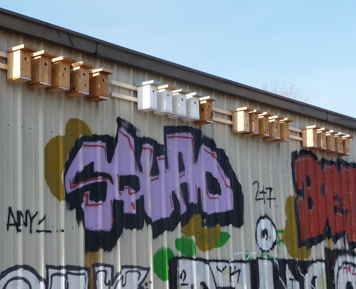 Morgenvogel-Haeuser-Spatzen-Kolonie-Mauerpark-Berlin-Mitte