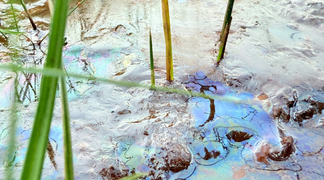 TeresaPereda_Landprints_working