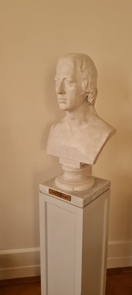 Photograph of a bust of Wilhelm von Humboldt on a pedestal, viewed at a slight angle in front of a wall.