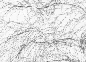 Detail of a drawing with lines formed from small letters